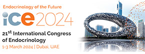 ICE 2024
